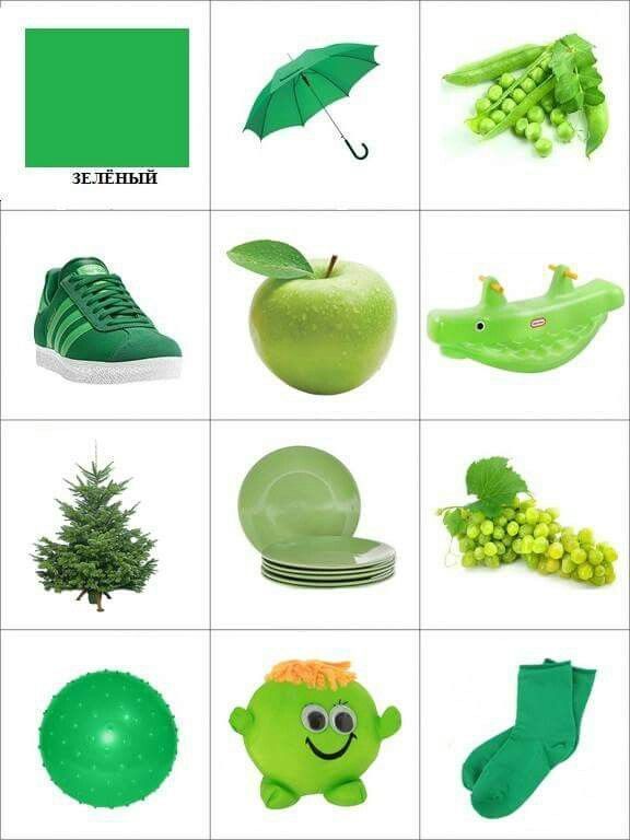 Занятия учим цвета. Зеленые предметы. Предметы зеленого цвета. Зеленый цвет для дошкольников. Изучение цветов для детей.